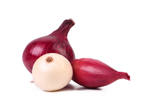 Different onions are located on a white background.