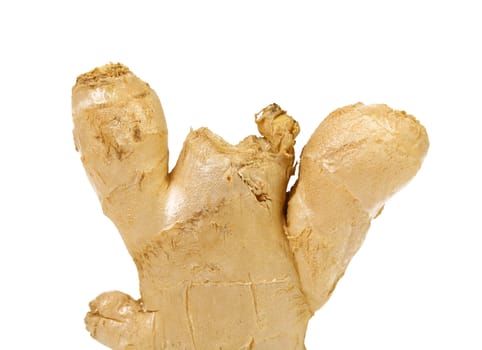 fresh ginger isolated on a white background