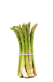 Bunch of asparagus on the white background