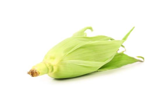 Green leafs covered with ripe ear of corn. White background.