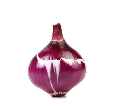 Red juicy onion isolated on a white background
