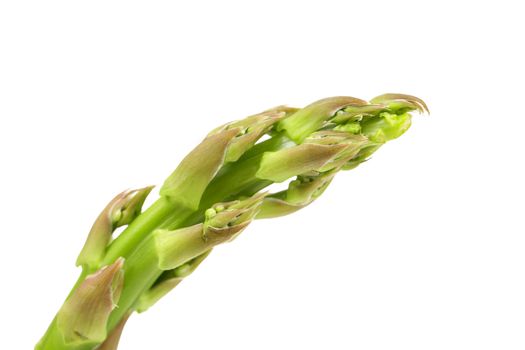 fresh asparagus spear isolated on a white background.