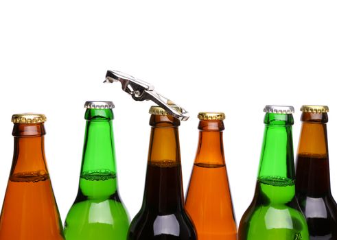 Top bottles of beer and a opener. White background.
