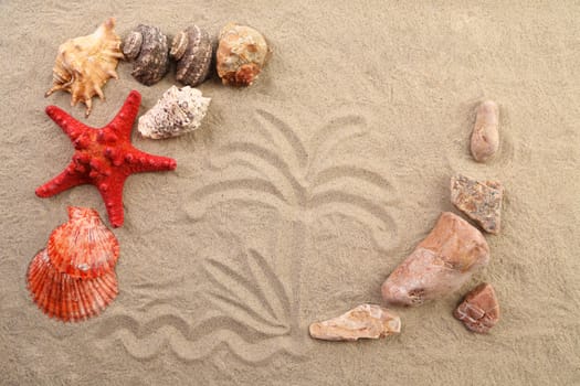 Composition of sand, shells, stones and starfish. Close up.