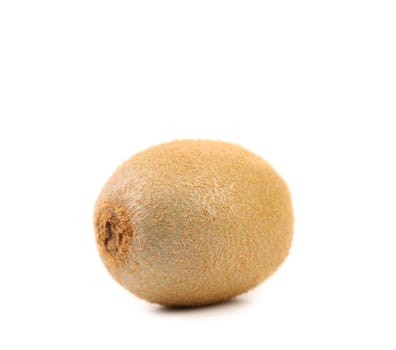 Kiwi fruit isolated on a white background