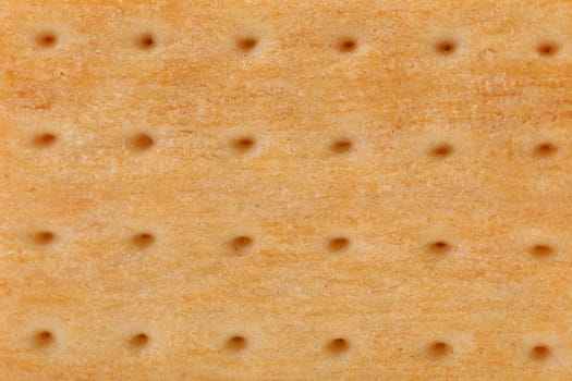 Background of biscuit. Pin hole. Macro. Whole background.
