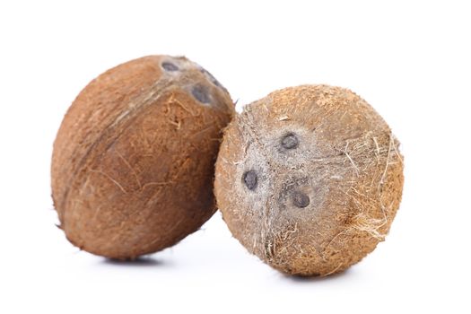Two coconuts isolated on a white background.