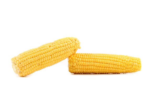 Two corncobs on a white background. Isolated.