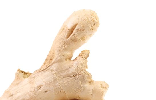 Fresh ginger on a white background. Close up.