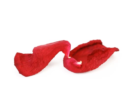 Rose petals isolated on a white background