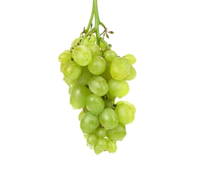 bunch of ripe and juicy green grapes close-up on a white background