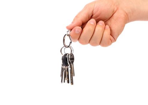 Hand holds bunch of keys. White background.