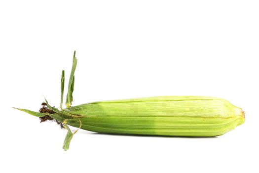 Closed corncob isolated on a white background