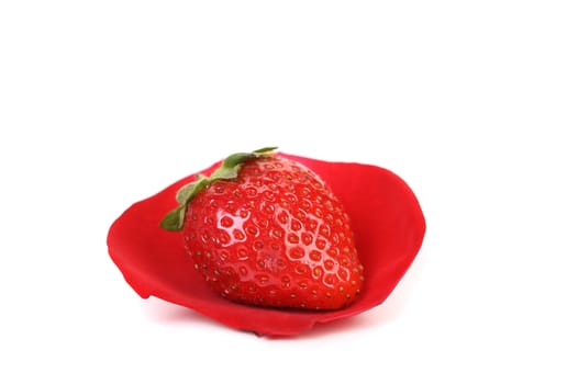 Red rose petal a nd fresh strawberry isolated on white background with clipping path