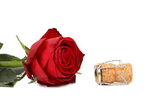 wet red rose and a cork on white background