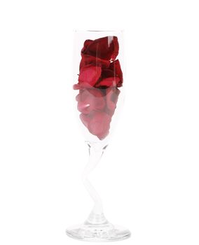 Champagne glass with rose petals on white background