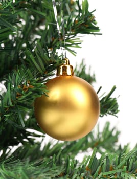 Christmas ball and green spruce branch, isolated white background