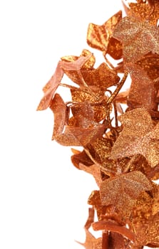 Frame of golden ivy leaves. White background.