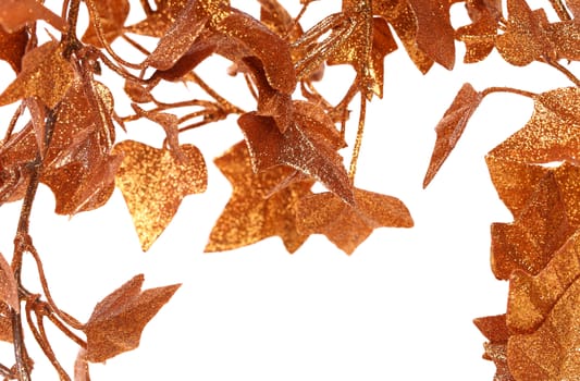 Frame of golden ivy leaves. White background.