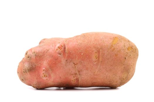 Red potato tuber isolated on a white background.