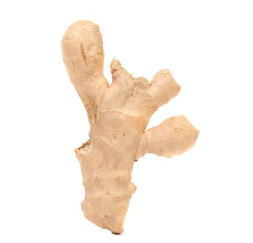 Fresh ginger isolated on a white background