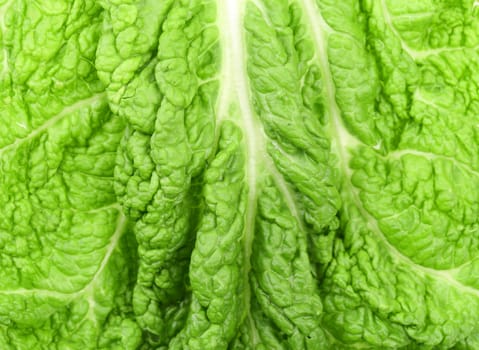 Background of leaf chinese cabbage. Close up.