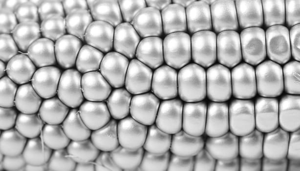 Background of siver corcob. Macro. White background.