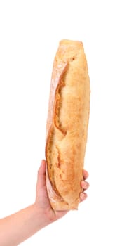 Hand holds long loaf isolated on white background