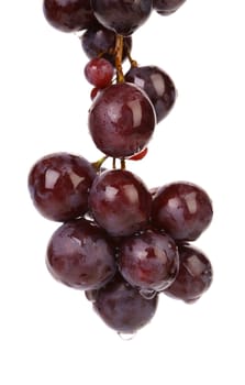 Red grape. Isolated on a white background.