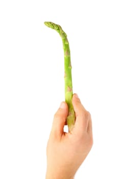 Hand holds the fresh green asparagus on a white background