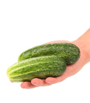 cucumber in human hand isolated with clipping path
