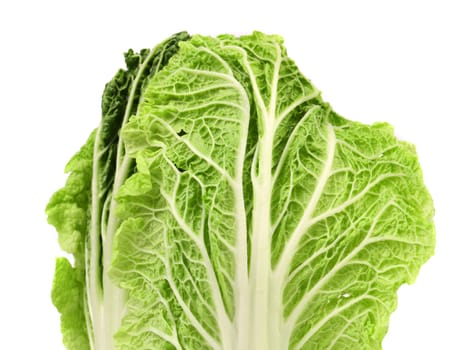 Chinese cabbage isolated on a white background