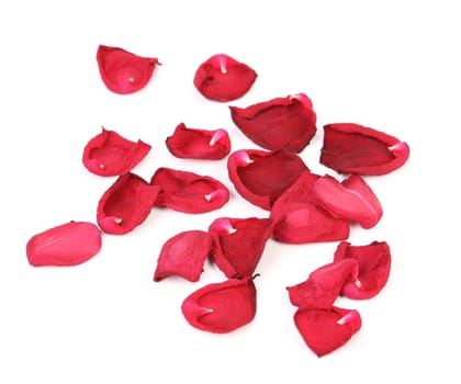 Rose petals isolated on a white background