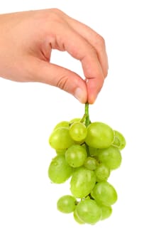 Hand holds bunch of ripe and juicy green grapes close-up