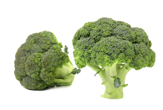 Healthy brocoli. Isolated on a white background.
