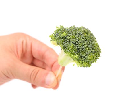 Hand holds broccoli floret on a toothpick. Close up.