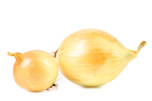 Fresh golden onions. Isolated on a white background.