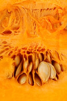 Background of pumpkin slice. Macro. Whole background.