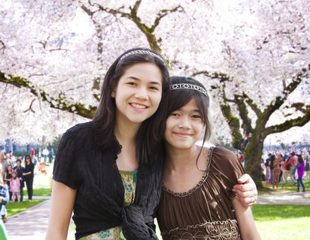 Two biracial girls, sisters,  standing together in front of large flowering cherry tree in full bloom
