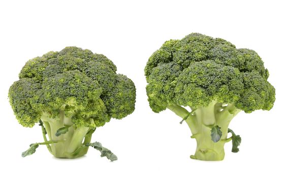 Healthy brocoli. Isolated on a white background.