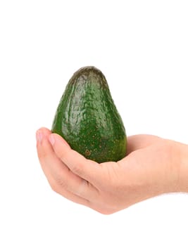 Hand holds fresh avocado. Isolated on a white background.