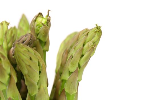 Close-up of top asparaguses. There is space for text.