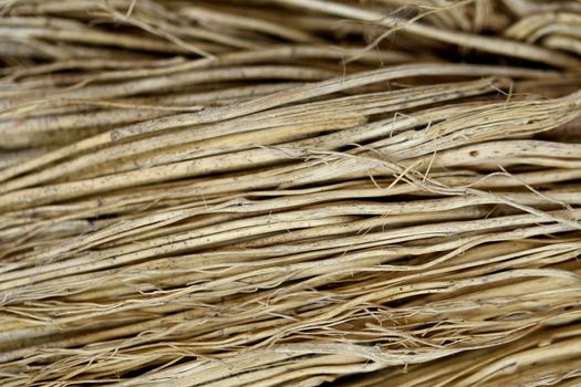Close up detail of a broom texture. Grunge texture of dry grasson.