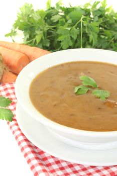 Oxtail soup with parsley on a light background