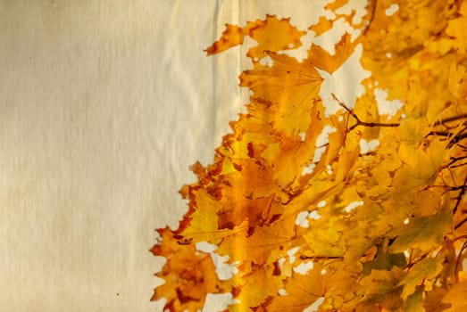 old paper with autumn leaves