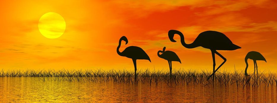 Flock of flamingo shadows standing in the water with grass by red sunset