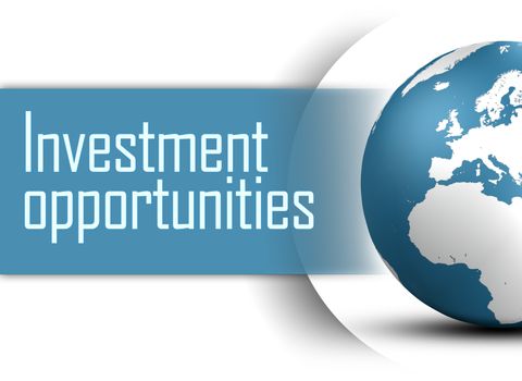 Investment opportunities concept with globe on white background