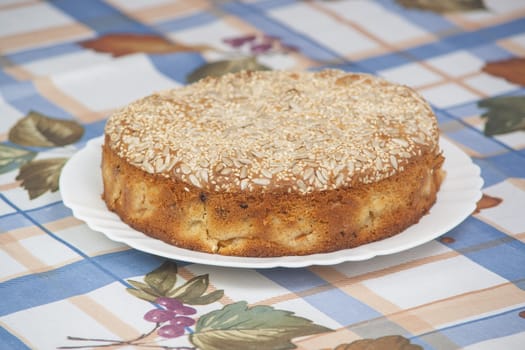 Apricot pie on plate. High resolution