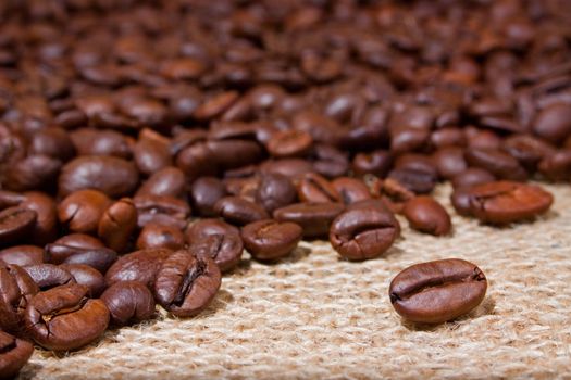 Coffee beans on burlap sack