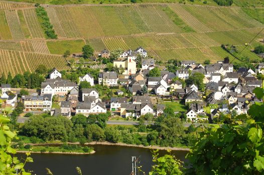 Weinort Burg an der Mosel
